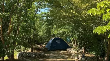 Havuzlu Bahçe Camping