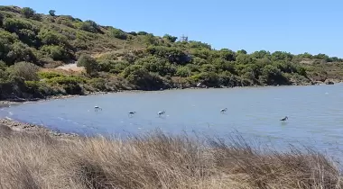 Ayvalık Badavut Tabiat Parkı