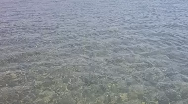 Ayvalık Badavut Tabiat Parkı