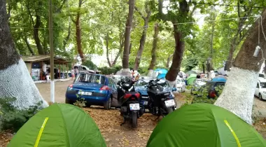 Uçmakdere Çınar