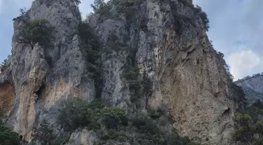 Merdivenli Koyu Datça