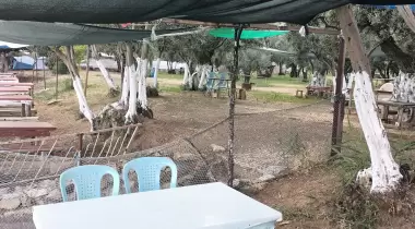 Turan Piknik Alanı Camping
