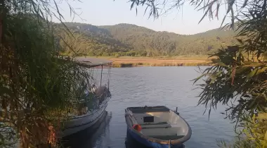 İnce kum çamlık
