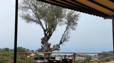 Panorama Kafe & Kamp