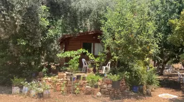 Kaş Olympos Mocamp