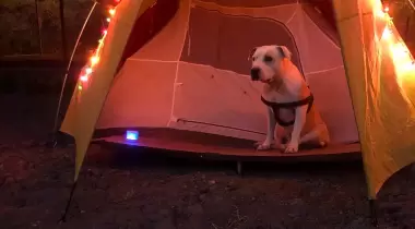 Sosa Camping
