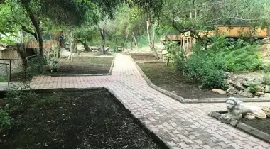 Kamp Alen İncekum