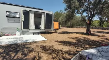 Ginger Camping