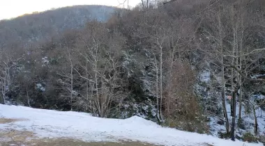 Erikli Şelalesi Kamp Alanı