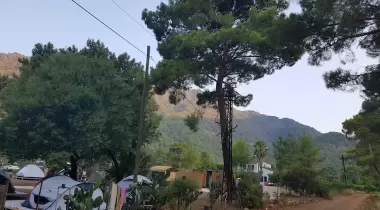 La Tortuga Camping