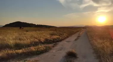 Ayvalık Badavut Tabiat Parkı