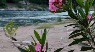 Elisyum Camping Rafting