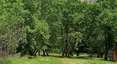 Belemedik Camping