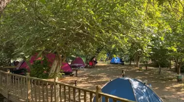 Havuzlu Bahçe Camping