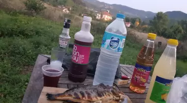 Dolunay Camping
