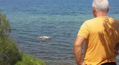 GEYİKLİ CAMPING GÜNBATIMI TATİL KÖYÜ, KONAKLAMA