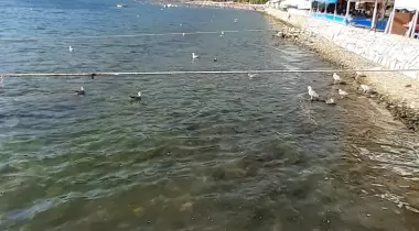 Karadayı Camping