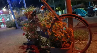 Gönül Camping