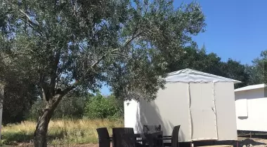 Salkım Saçak Camping