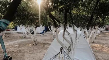 Mandalin Camping