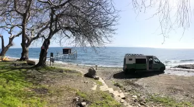 Uçmakdere Çınar