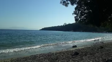 Aşağı Mazı Ilgın koyu