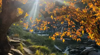 Taşyaran Vadisi Tabiat Parkı