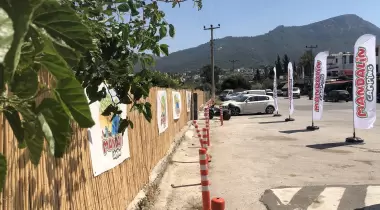 Mandalin Camping