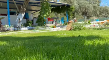 Verano Camping