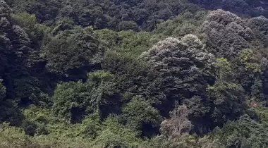 Bartın İl Özel İdaresi Mugada Kamp Alanı