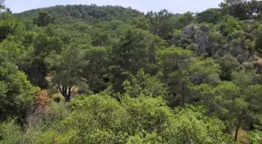 Korsan Koyu Kamp Alanı