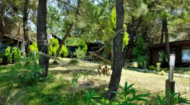 Woodyville camping area