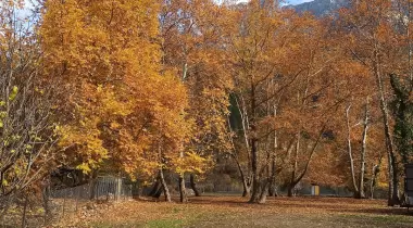 Belemedik Camping