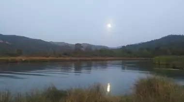İnce kum çamlık