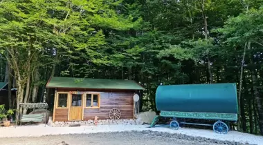 Candaş Kamp