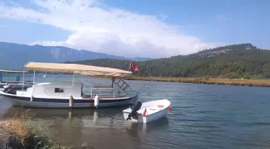 İnce kum çamlık