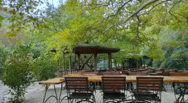 Havuzlu Bahçe Camping
