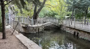 Havuzlu Bahçe Camping