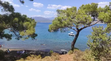 Gazi Koyu