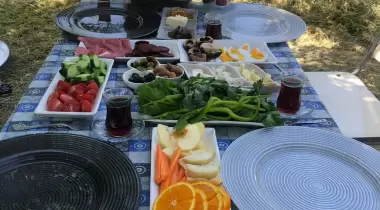 Sosa Camping
