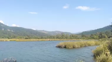 İnce kum çamlık