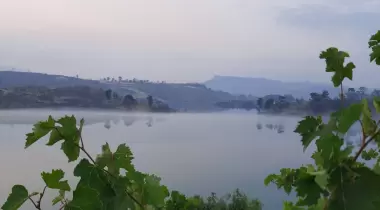 Homeros camping