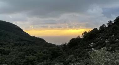 Camp Nasuh