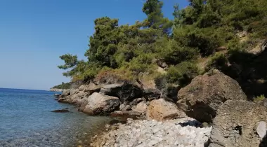 Aşağı Mazı Ilgın koyu