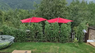 Benim Yeşil Bahçem Sapanca