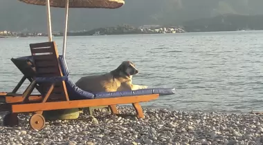 Berat Cafe Beach Fethiye Camping Kamp Alanı