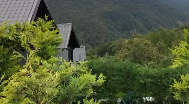 Benim Yeşil Bahçem Sapanca