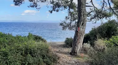 Merdivenli Koyu Datça