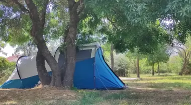 Flamingo Bungalow & Camping