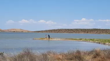Ayvalık Badavut Tabiat Parkı